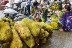 'Tipsy' KSRTC Driver Fails Breathalyzer Test, Blames Hearty Jackfruit Meal For 'Buzz'