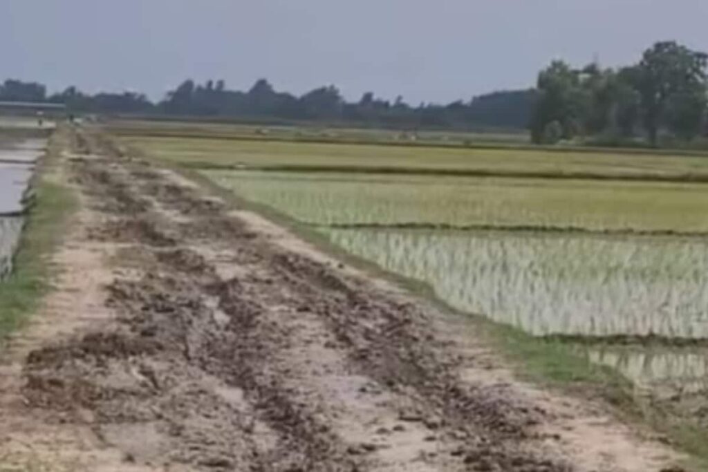 Dead Men Building Roads? Shocking MNREGA Scam Uncovered In UP Village