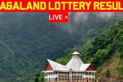 Nagaland Lottery Result Today Live: Winning Numbers For July 19, 2025