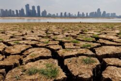 Amid Erratic Monsoons, IIT Bombay Launches Smart Irrigation System for Drought-Prone Areas