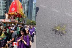 Eggs Hurled At Devotees During Rath Yatra In Canada, Naveen Patnaik Says 'Deeply Disturbed'