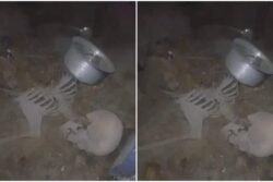 Chasing Cricket Ball, Hyderabad Boy Stumbles Upon Skeleton In Locked House