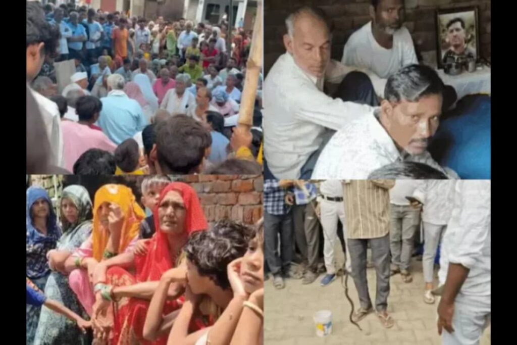 Avenging Her Mate? Snake’s 'Revenge' Rampage Leaves 1 Dead, 2 Critical In UP Village