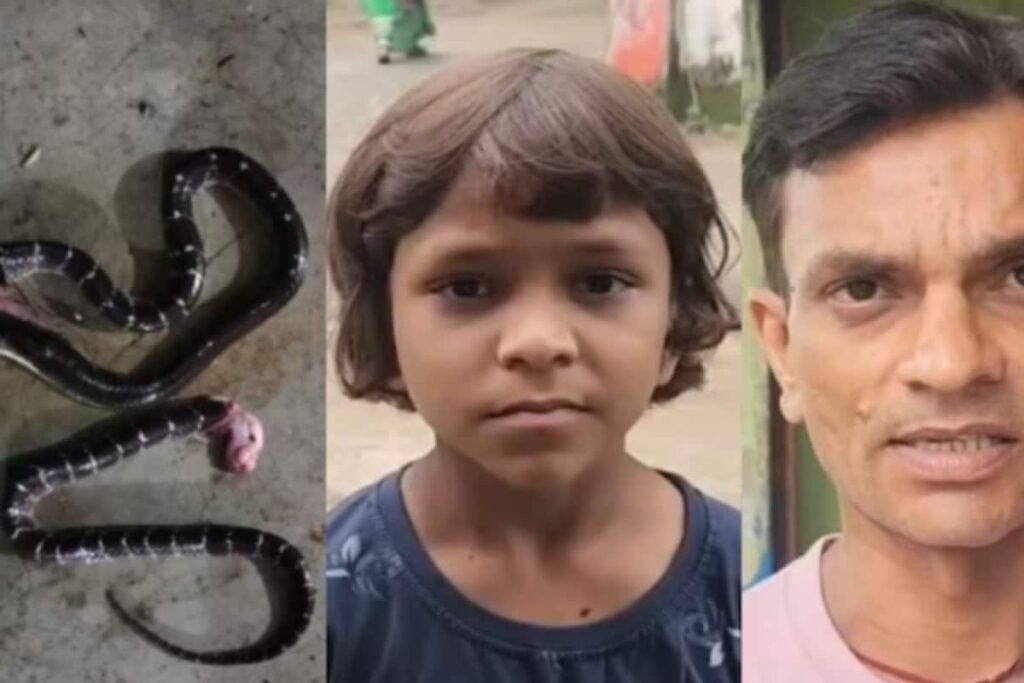 Father Rescues Sleeping 10-Year-Old As Two Snakes Coil Around Her Neck