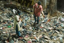 Event Organiser Challenges Justice Cunha's Chinaswamy Stadium Stampede Report In Karnataka HC