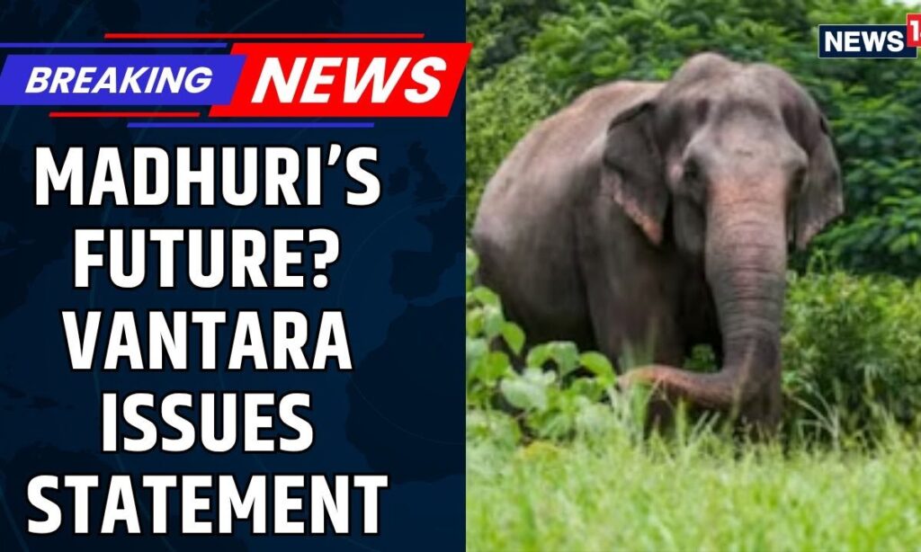 Vantara On Concerns Over Elephant Madhuri, Acknowledges Her Cultural Significance To Jain Math