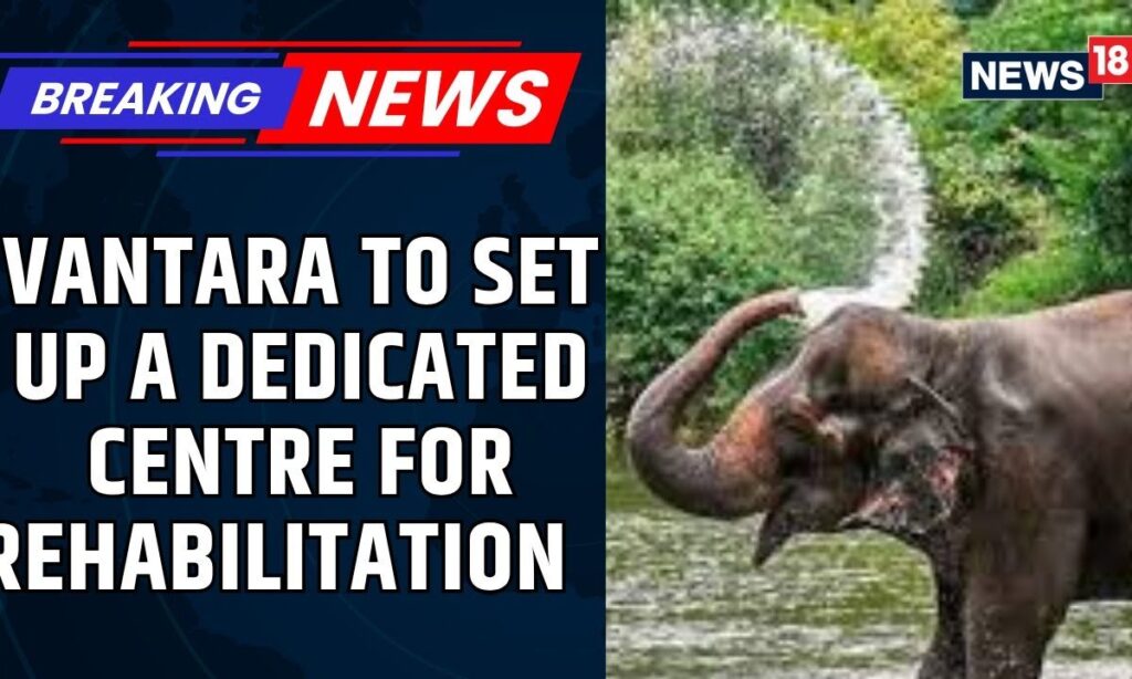 Inside Vantara: Caring for Elephant Madhuri with Expert Attention | Vantara Elephant Care | News18