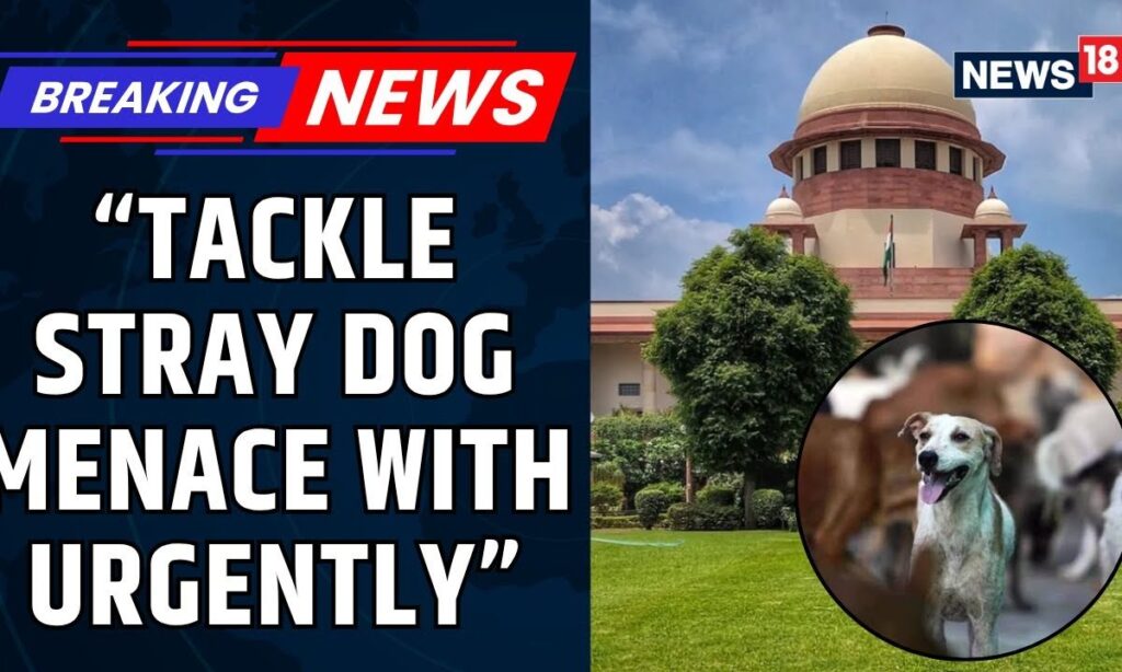 Supreme Court Directs Delhi Government to Tackle Stray Dog Menace with Urgent Policy Reforms