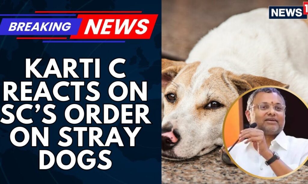 ‘Death Sentence’: SC's Order To Remove #straydogs From #Delhi's Streets Sparks Online Debate