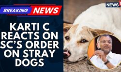 ‘Death Sentence’: SC's Order To Remove #straydogs From #Delhi's Streets Sparks Online Debate