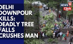 Delhi Rain Turns Fatal: Man Killed As Tree Topples Amid Delhi Downpour | Kalkaji Accident | News18