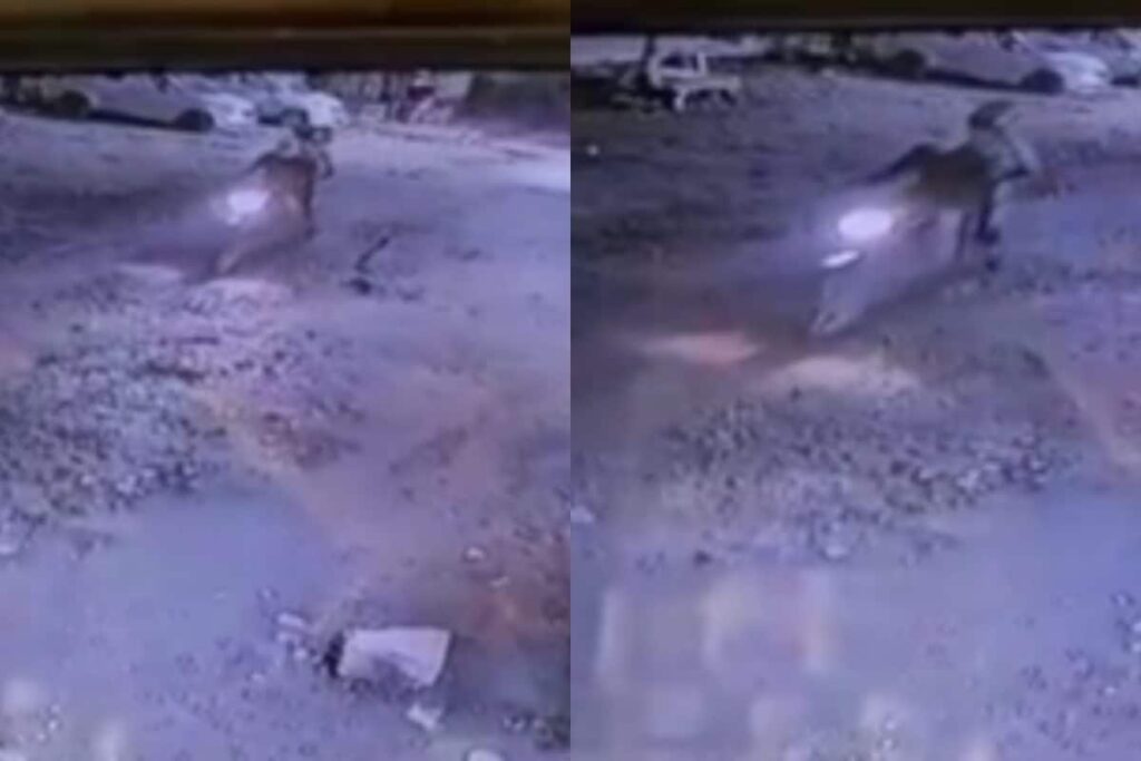 CCTV Captures Three Bike-Borne Attackers Who Sprayed Bullets At Elvish Yadav’s House | Video