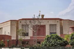 ‘Number 01’ Tree At New Parliament’s Gate Poses Security Risk, To Be Transplanted Soon