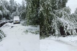 Swathed In White: Ladakh Sees Rare August Snowfall, Khardung La Shut Amid Travel Advisory