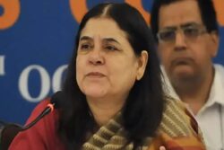 ‘When It Happened In Paris…’: Maneka Gandhi’s History Lesson After SC Order On Stray Dogs