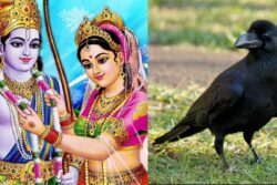 After ‘Dog Babu’, ‘Lord Ram’, ‘Goddess Sita’ And ‘Crow’ Apply For Bihar Residential Certificate