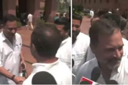‘Uncommon Handshake…’: Rahul Gandhi Congratulates Rajiv Rudy For Constitution Club Win | Video
