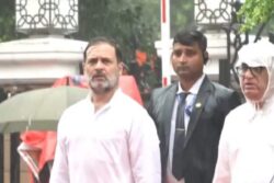 'An Insult To Army, Constitution': BJP Attacks Rahul Gandhi For Skipping Red Fort I-Day Event