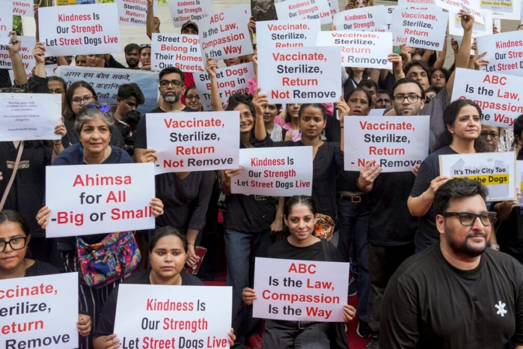 Supreme Court Dubs Previous Order To Permanently Confine Stray Dogs In Shelters ‘Too Harsh’