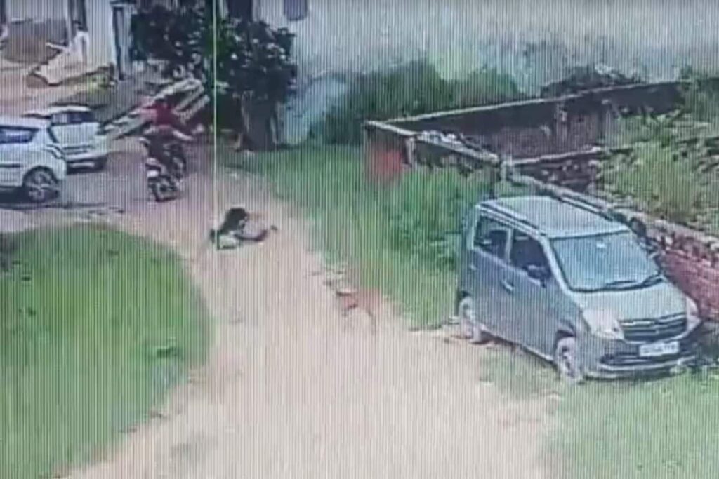 8-Year-Old Attacked By Stray Dog Without Provocation In UP, Incident Caught On Camera