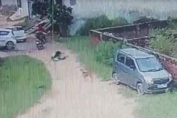 8-Year-Old Attacked By Stray Dog Without Provocation In UP, Incident Caught On Camera
