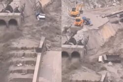 Vehicles Swept Away After Dam Collapses Amid Heavy Rainfall In Himachal | Video