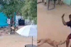 Stray Dog Attacks 8-Year-Old Boy, Father Outside Their House In Tamil Nadu | Video