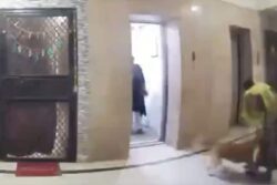 Woman Injured After Pet Dog Attacks Her In Ghaziabad Society, CCTV Footage Emerges