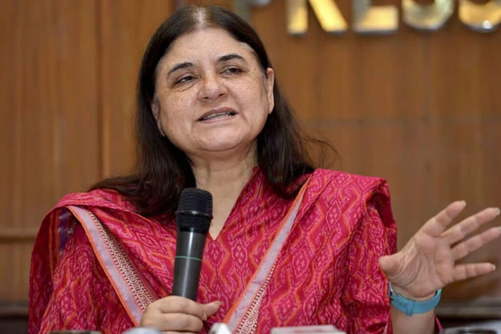 'Who Decides A Stray Dog Is Aggressive?': Maneka Gandhi Reacts To Modified SC Verdict