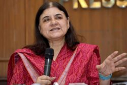 'Who Decides A Stray Dog Is Aggressive?': Maneka Gandhi Reacts To Modified SC Verdict