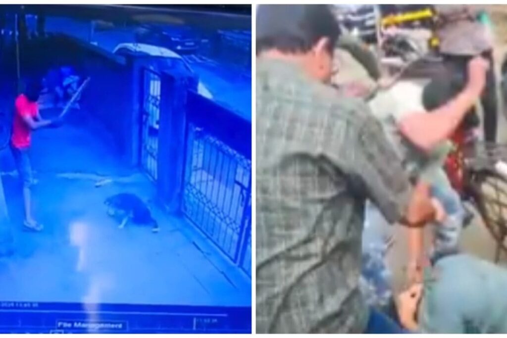 Man Beats Elderly Stray Dog In Navi Mumbai, Locals Thrash Him | Video