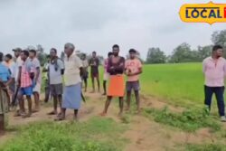 Elephant Crushes Chhattisgarh Man To Death, 6 ‘Wives’ Turn Up To Claim Compensation