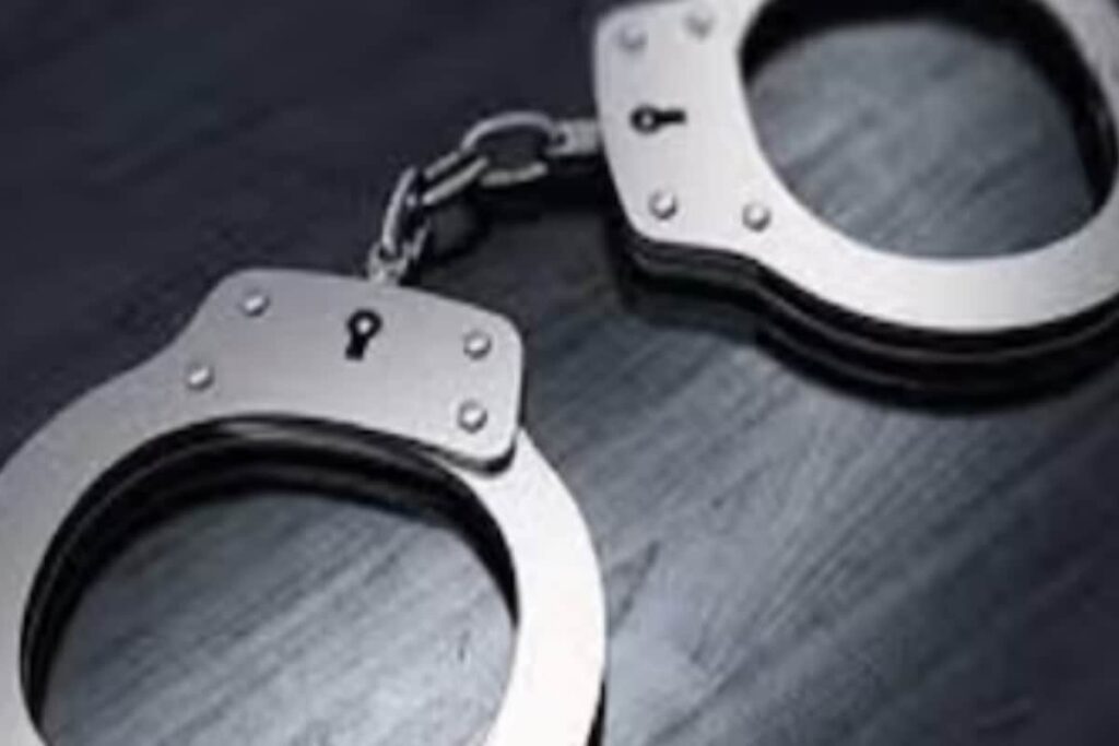 Himachal Pradesh Man Kills Mother, Buries Body In Field; Arrested