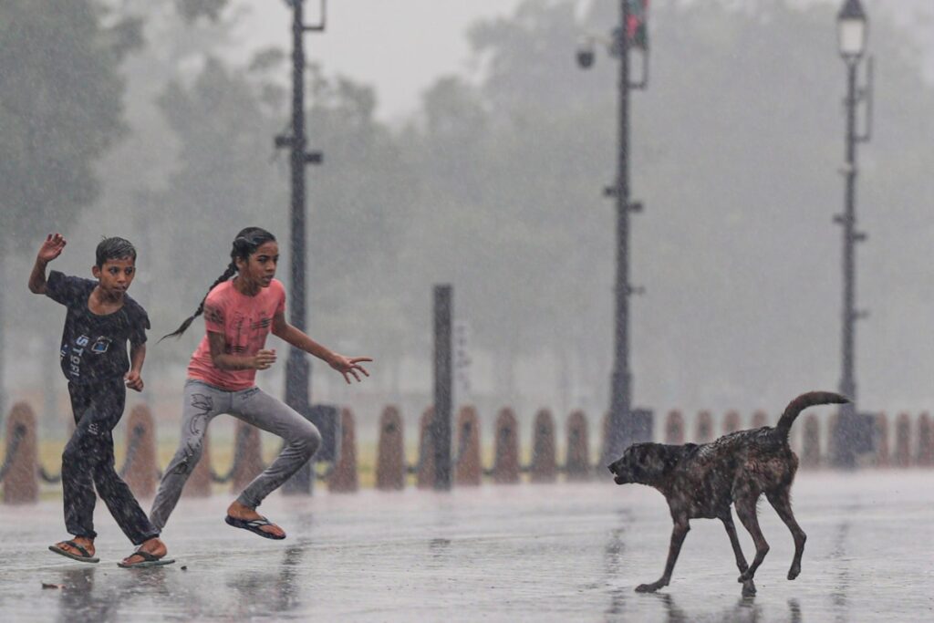 2-Year-Old Dies Of Rabies In UP Village After Stray Dog Licks His Open Wound