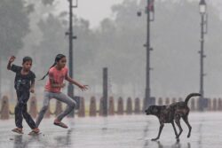 2-Year-Old Dies Of Rabies In UP Village After Stray Dog Licks His Open Wound