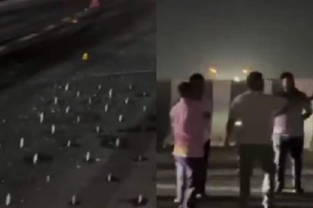 Tyre Repair Gang Behind Act? Nails Hammered Into Samruddhi Expressway | Video