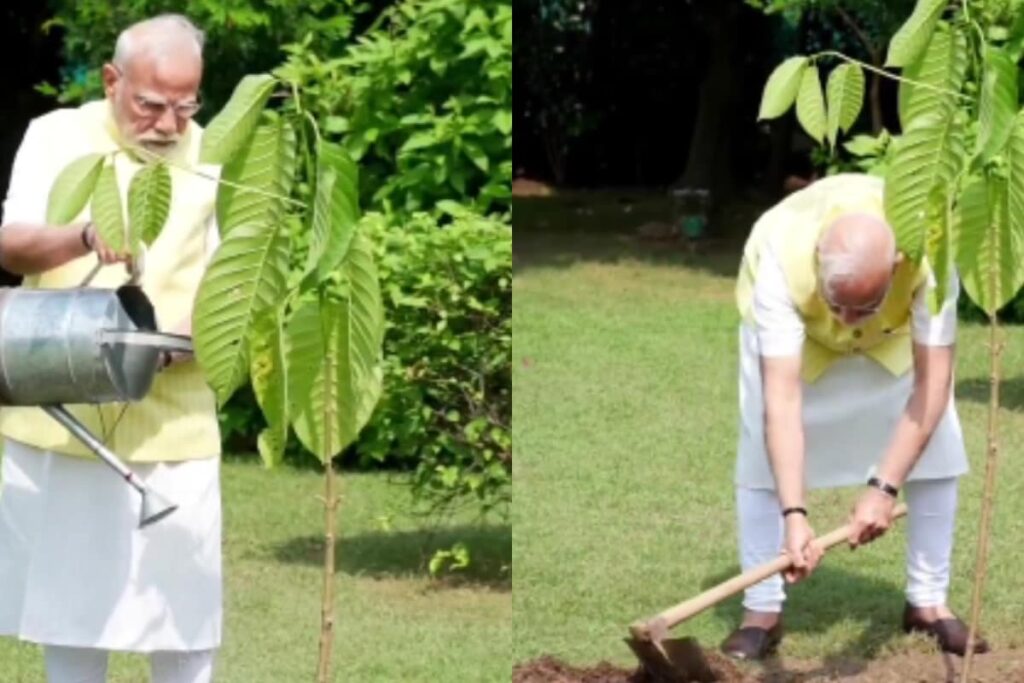 Video: PM Modi Plants Kadamb Sapling Gifted By King Charles At His Residence