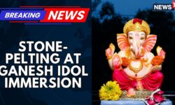 After Stone-Pelting At Ganesh Idol Immersion, Pro Hindu Group Stage Protest At Mandya, Karnataka