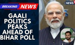 'Neither Civility Nor Culture': BJP Slams RJD After PM Modi's Mother 'Abused' Again At Rally