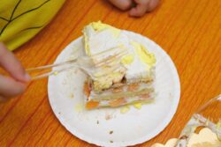 Class 2 Boy Collapses After Eating Cake At School, Dies In Tamil Nadu