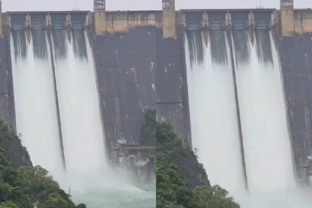 Amid Heavy Rain, Bhakra Dam Level Rises 3 ft In 24 Hours, Authorities On Alert