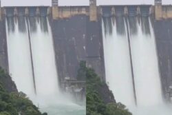 Amid Heavy Rain, Bhakra Dam Level Rises 3 ft In 24 Hours, Authorities On Alert
