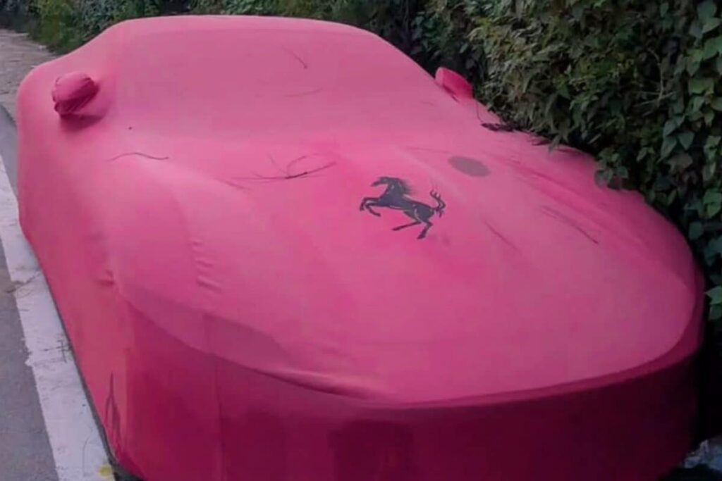 'Ferrari Refused To Start': Chandigarh Man Flags Ethanol Petrol Issue In Supercars, Questions Govt