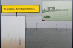 Gujarat Desert Turns Into Sea As Banas River Overflows Amid Torrential Rains