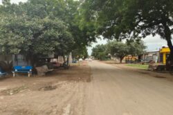 Saldi Village: A Tiny Gujarat Hamlet With A Global Ice Cream Fame