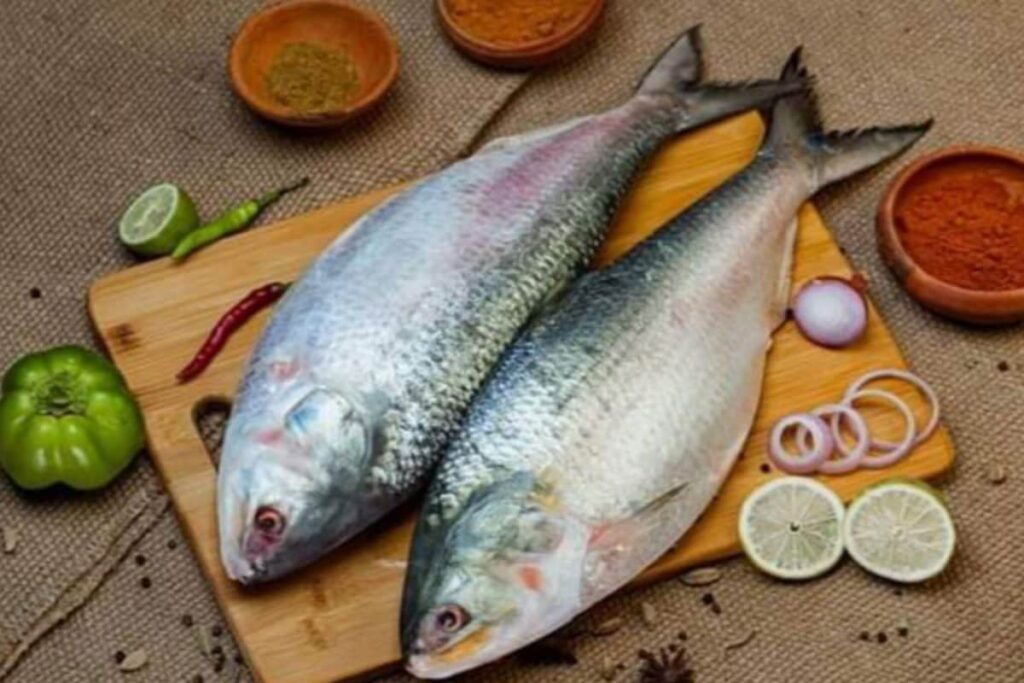 Hilsa From Bangladesh Arrives In Bengal, Why Is This Fish Special?