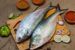 Hilsa From Bangladesh Arrives In Bengal, Why Is This Fish Special?
