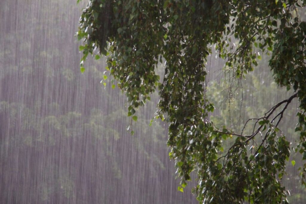 India’s Monsoon Mystery: Will The Rains Really Last Until Year End?