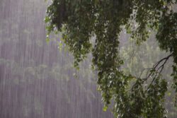 India’s Monsoon Mystery: Will The Rains Really Last Until Year End?