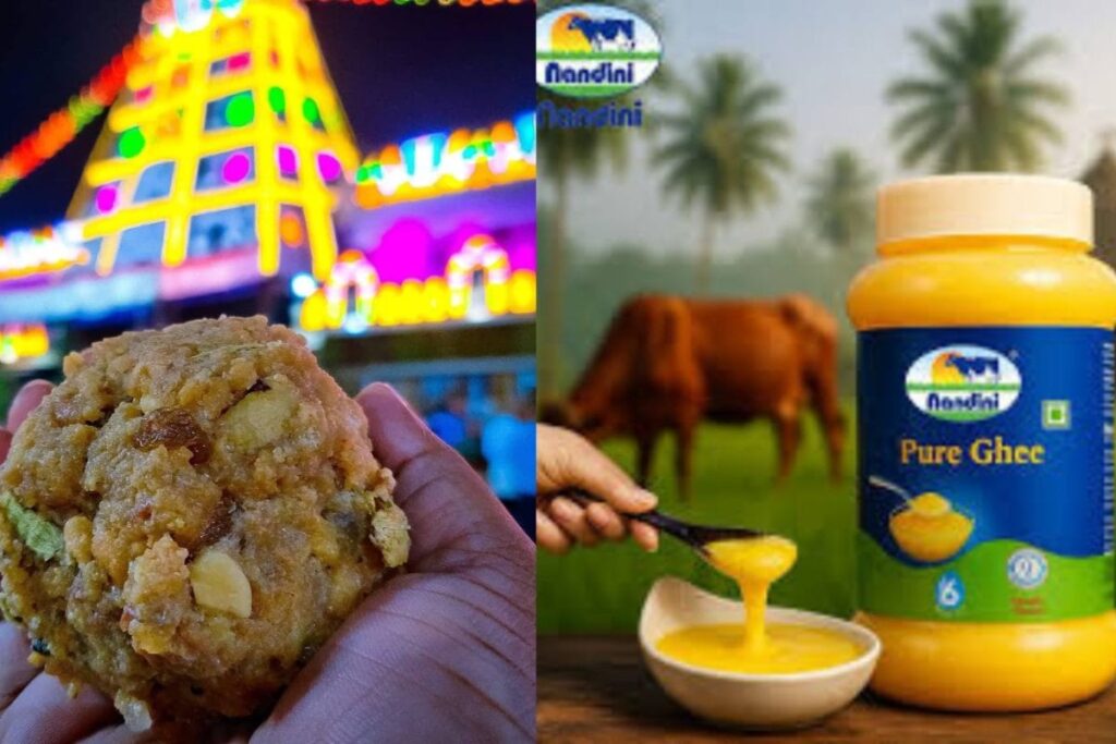 Tirupati Laddu’s Secret Ingredient: Nandini Ghee Sets A New Temple Record